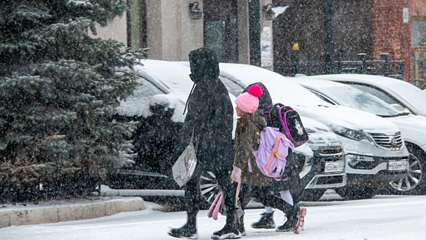 В&nbsp;Москве ученик начальных классов принес в&nbsp;школу боевую гранату