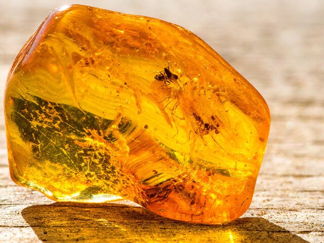 Янтарь возрастом до 50 млн лет нашли в Калининграде