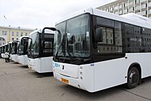 Коми продолжает закупать экологичные автобусы