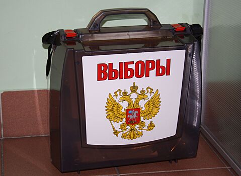 Общественная палата РФ сможет направить наблюдателей на зарубежные избирательные участки