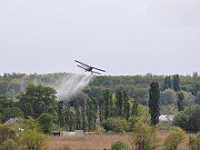 Водоемы в Усть-Лабинске обрабатывают опасными химикатами