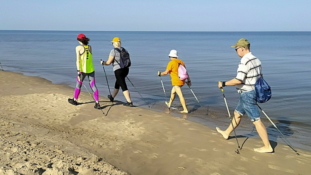 В чем польза скандинавской ходьбы