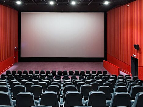 В Госдуме рассказали, будут ли кинотеатры работать только по выходным