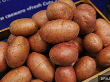 Азербайджан заинтересован в тюменской древесине, сельхозпродукции и полимерах