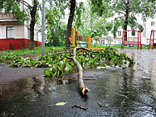 Здание инфекционной больницы в Биробиджане получило повреждения из-за урагана