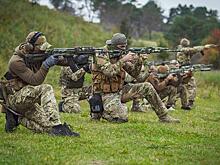 Новобранцы ВСУ: К туалету приучены, ветеринаром осмотрены