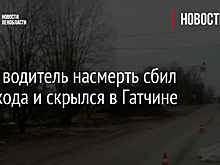 Фото: водитель насмерть сбил пешехода и скрылся в Гатчине