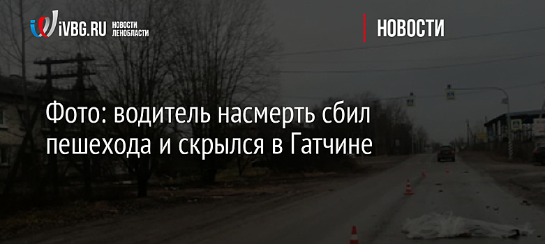 Фото: водитель насмерть сбил пешехода и скрылся в Гатчине