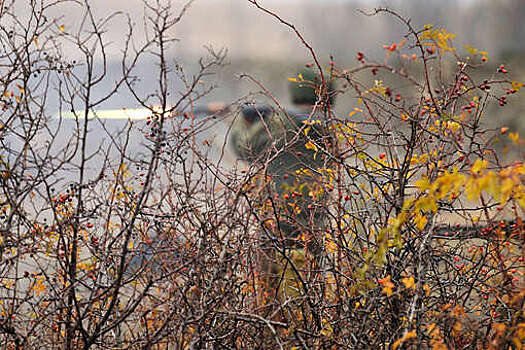 МО РФ: группировка Центр зачистила от ВСУ два микрорайона в донецком Димитрове