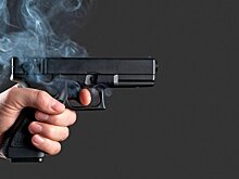 Полицейские застрелили подростка на глазах у детей в Нидерландах