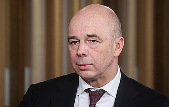 Силуанову понравилась идея Костина использовать разные формы контроля государства