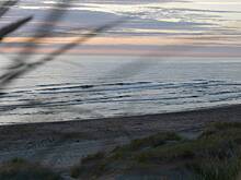 Огромную торпеду времен Второй мировой войны неожиданно вынесло на пляж