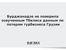Бурджанадзе не поверила озвученным Тбилиси данным по потерям турбизнеса Грузии