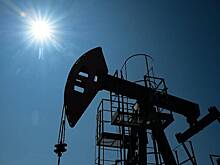 Обнуление пошлин на импорт топлива назвали в России превентивным