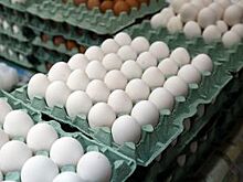 Инвестор вложит €10 млн в завод по переработке яйца в Калининградской области