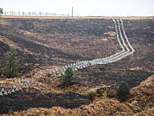 Экс-руководители курской Корпорации развития обжалуют приговор за хищения