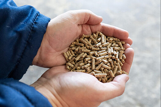 Новосибирская «Сибагро» увеличила объем производства комбикормов