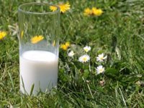 Швейцарские фермеры требуют поднять цену на молоко