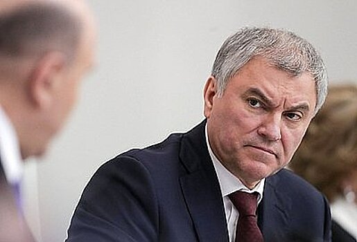 Володин пообещал поддержать решение жителей ДНР и ЛНР войти в состав России