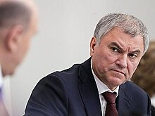 Володин пообещал поддержать решение жителей ДНР и ЛНР войти в состав России