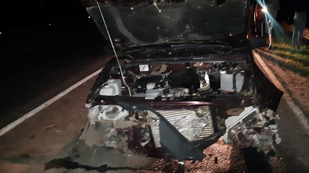 В ДТП под Саратовом пострадал мужчина. Водителя автомобиля разыскивает полиция