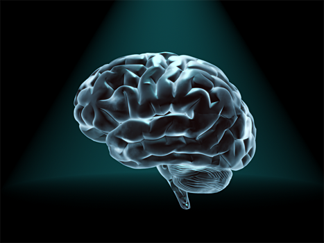 Ученые обнаружили "виагру" для мозга