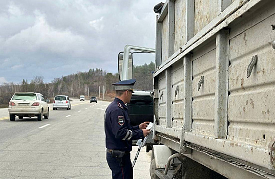 В Приамурье большегрузам запретят ездить по дорогам регионального значения