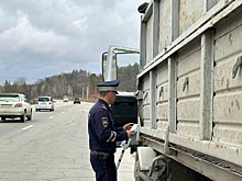 В Приамурье большегрузам запретят ездить по дорогам регионального значения