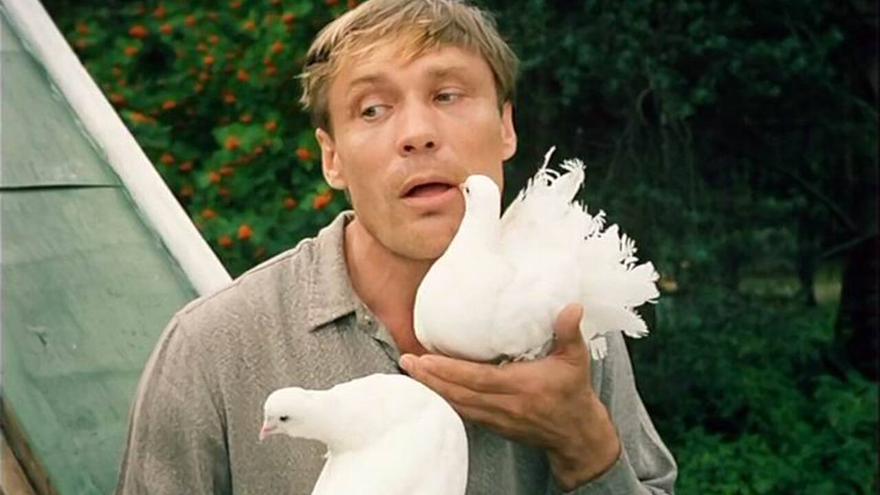 Как Михайлов Чуть Не Погиб На Съемках Фильма "Любовь И Голуби" —  Рамблер/Кино