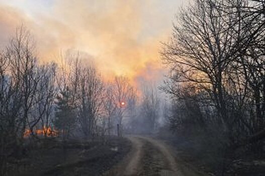 Пожар в зоне ЧАЭС полностью потушен