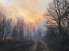 Пожар в зоне ЧАЭС полностью потушен