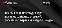 Власти Санкт-Петербурга через полицию разыскивают людей, зарезавших барана на свадьбе - видео