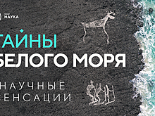 558 миллионов лет истории: канал «Наука» раскрывает тайны Белого моря