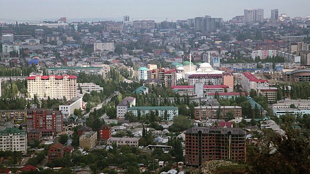 Аналитики выяснили, какие турнаправления стали востребованнее