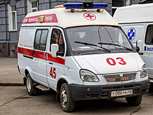 Три ребенка попали в реанимацию после одиночной аварии в Ленинградской области