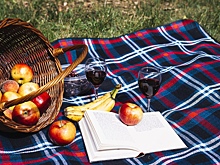 #Книжкиподвинишко. В Омске открылся клуб для трезвомыслящих омичей