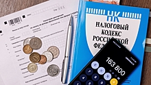 Стал известен срок определения параметров налоговой амнистии в РФ