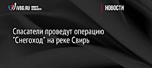 Украинцы массово жалуются на использование русского языка