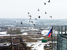 Российские войска за сутки освободили с боями 12 поселков в Курской области
