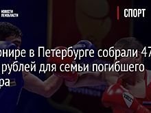 На турнире в Петербурге собрали 479 тысяч рублей для семьи погибшего боксера