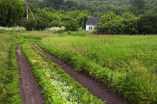 Новосибирский депутат предложил альтернативу ликвидации опустевших деревень