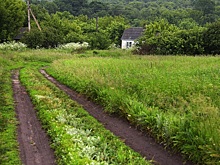 Новосибирский депутат предложил альтернативу ликвидации опустевших деревень