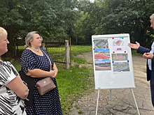 На территории Ковыринского парка в Вологде проведут дендрологические изыскания