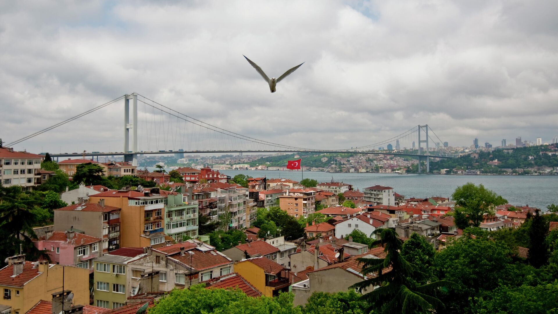 СМИ: двое фигурантов по «Крокусу» жили в центральных районах Стамбула