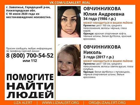 Женщина и ее трехлетняя дочь пропали в Нижегородской области