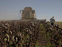 Украинские фермеры пожаловались на катастрофическую ситуацию из-за мобилизации