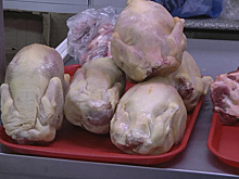 В России выросли цены на курицу