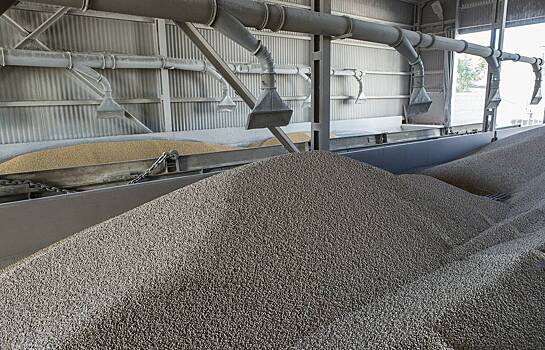 Россия рекордно нарастила поставки одного вида продукции в Индию