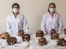 Ученые раскрыли массовое убийство детей в XV веке