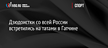 Дзюдоистки со всей России встретились на татами в Гатчине